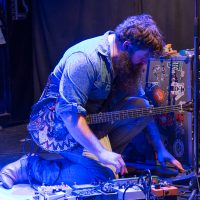 TALL TALL TREES (Mike Savino) Bild 6
