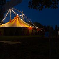 PIT HARTLING  Bild 6
